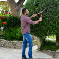 Essential Factors to Consider When Choosing a Professional Tree Trimming and Pruning Service