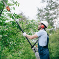Understanding the Risks and Dangers of Tree Trimming and Pruning
