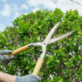 Understanding Tree Trimming and Pruning: Can It Be Done on Any Type of Tree?