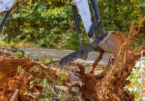The Hidden Dangers: Risks of Neglecting Tree Trimming and Pruning
