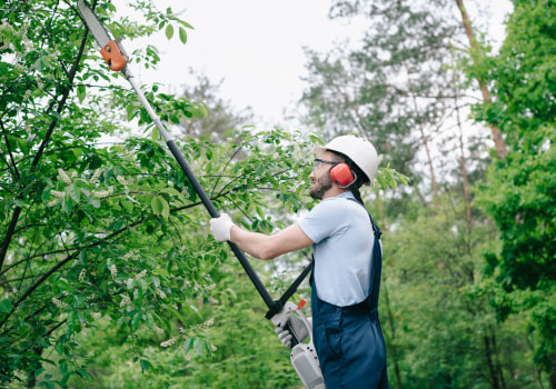 Understanding the Risks and Dangers of Tree Trimming and Pruning