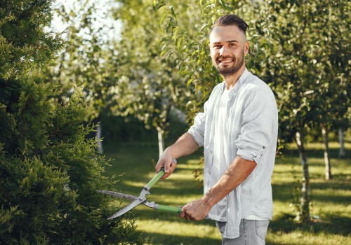 Keep Your Portland Landscape Lush and Efficient