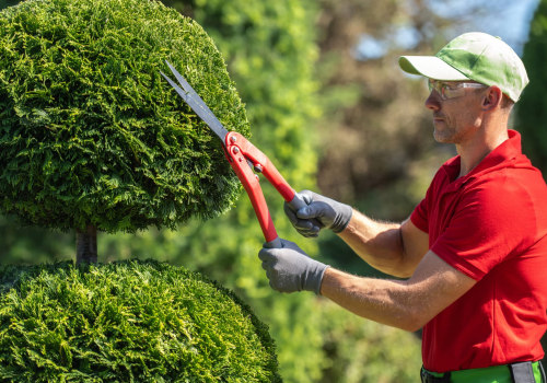 The Ultimate Guide to Tree Trimming and Pruning: Frequency, Techniques, and Benefits